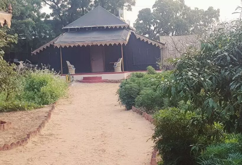 Orchard Tents & Tranquility Glamping