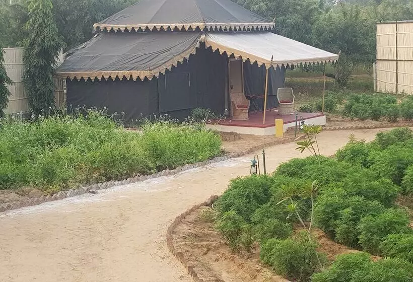 Fotos del hotel Orchard Tents & Tranquility Glamping:  17