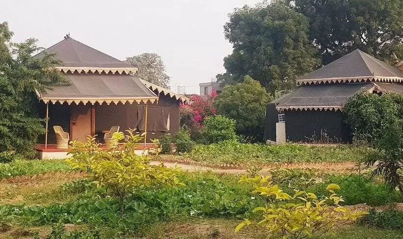 Fotos del hotel Orchard Tents & Tranquility Glamping:  16