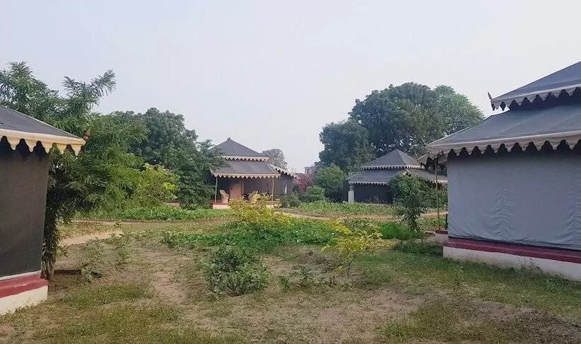 Fotos del hotel Orchard Tents & Tranquility Glamping:  8