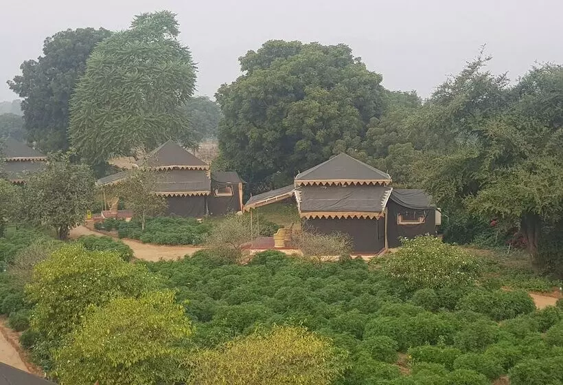 Fotos del hotel Orchard Tents & Tranquility Glamping:  7