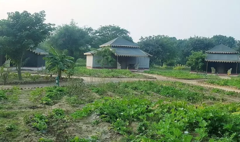 Fotos del hotel Orchard Tents & Tranquility Glamping:  15