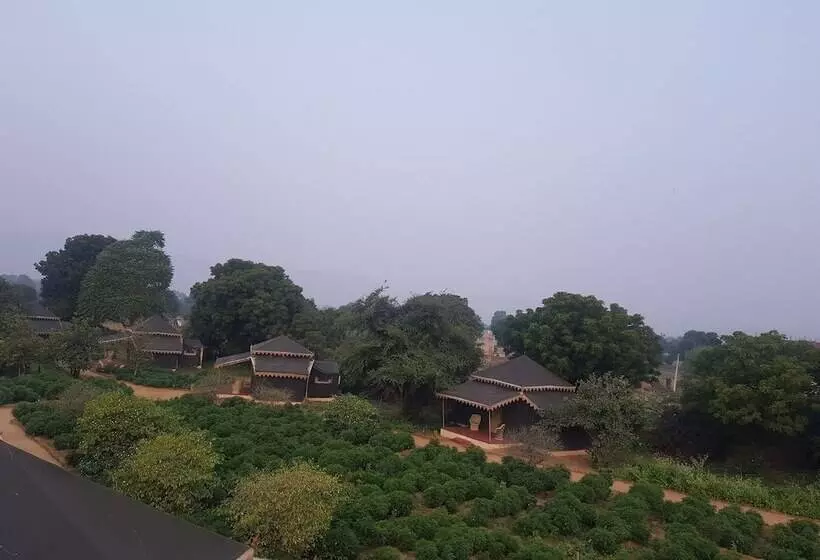 Fotos del hotel Orchard Tents & Tranquility Glamping:  5