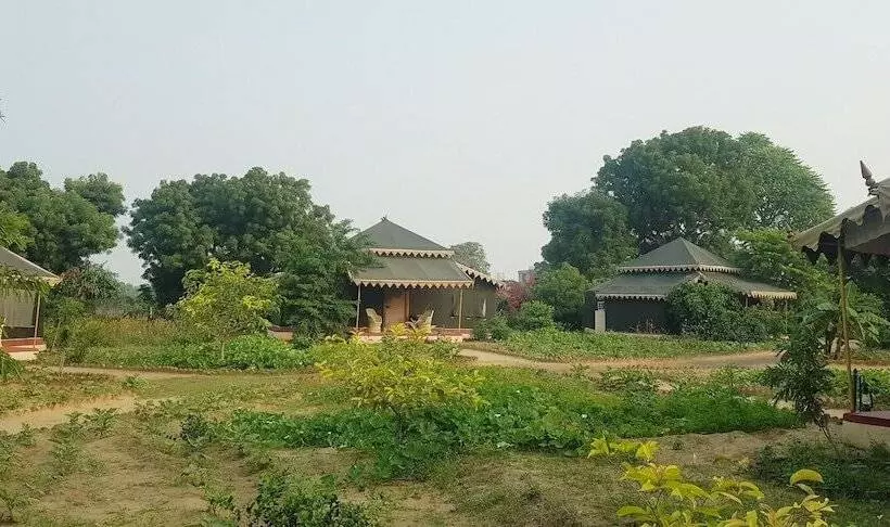 Fotos del hotel Orchard Tents & Tranquility Glamping:  14