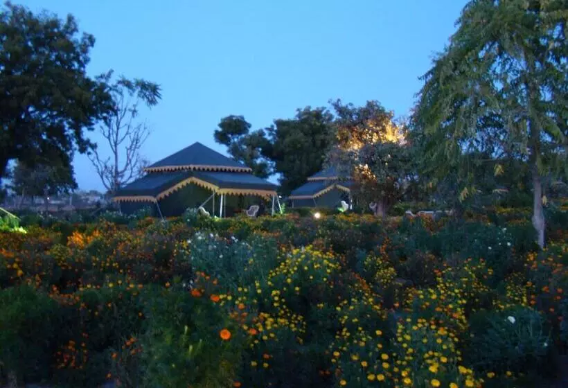 Fotos del hotel Orchard Tents & Tranquility Glamping:  21