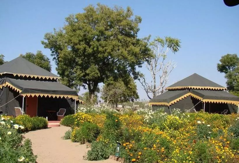 Fotos del hotel Orchard Tents & Tranquility Glamping:  25