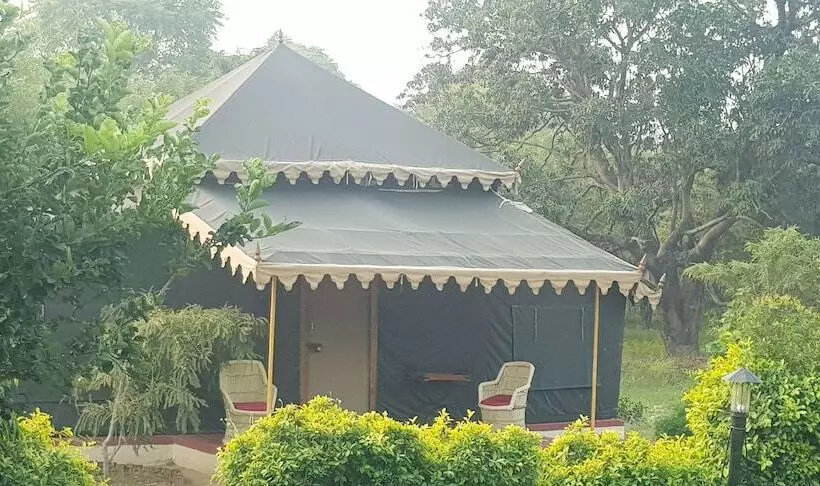 Fotos del hotel Orchard Tents & Tranquility Glamping:  20