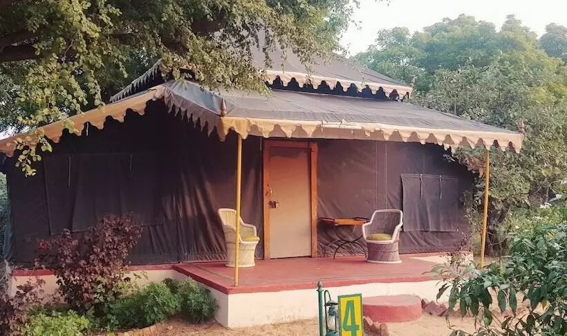 Fotos del hotel Orchard Tents & Tranquility Glamping:  23