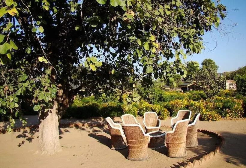 Fotos del hotel Orchard Tents & Tranquility Glamping:  4