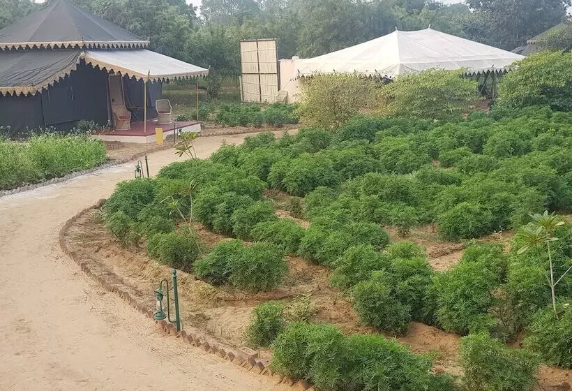 Fotos del hotel Orchard Tents & Tranquility Glamping:  13