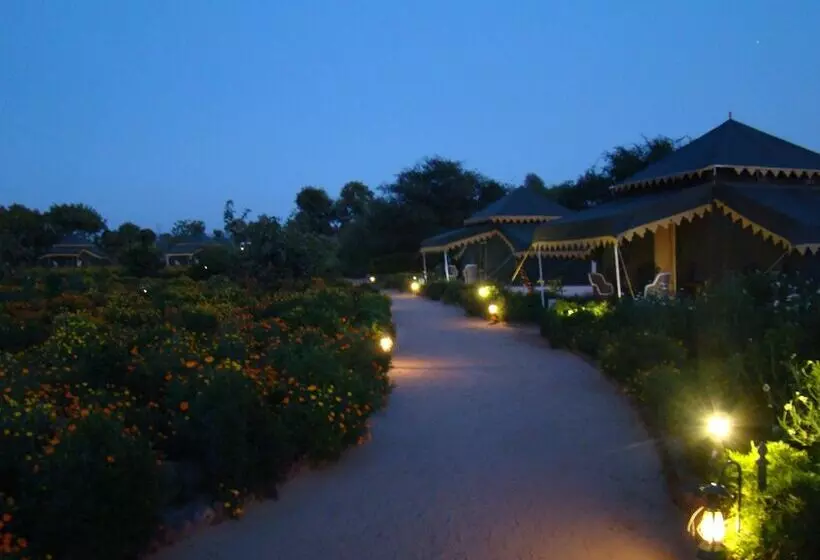 Fotos del hotel Orchard Tents & Tranquility Glamping:  22