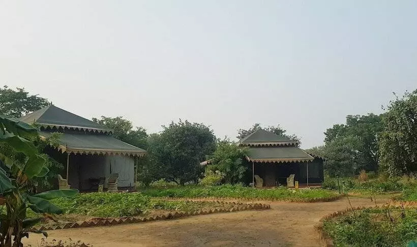 Fotos del hotel Orchard Tents & Tranquility Glamping:  12