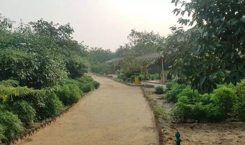 Fotos del hotel Orchard Tents & Tranquility Glamping:  3