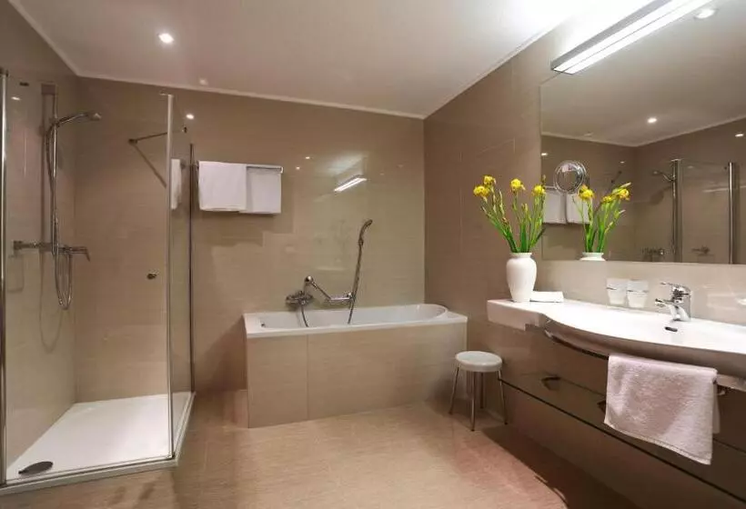 Fotos del hotel Promenáda Romantic:  12