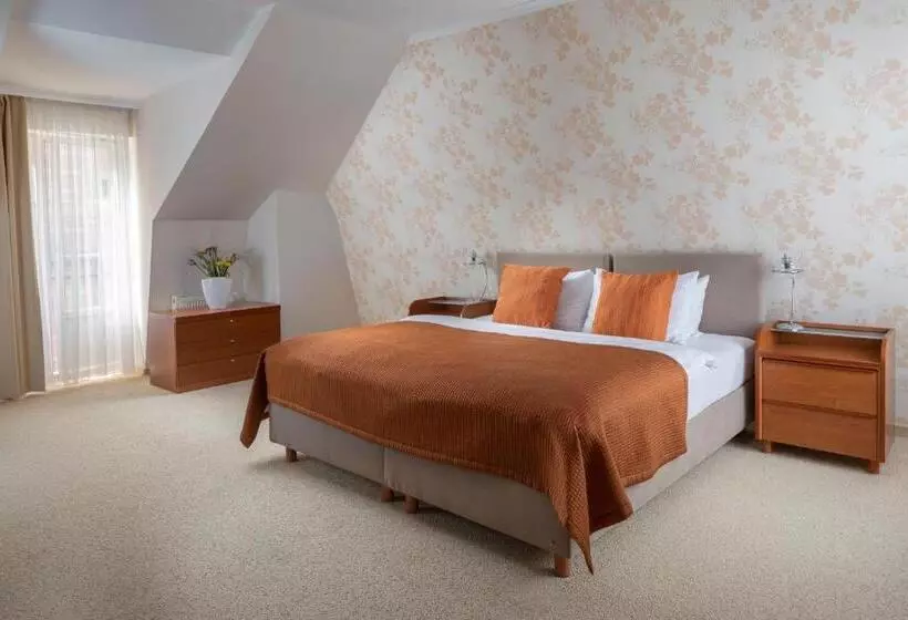 Fotos del hotel Promenáda Romantic:  13