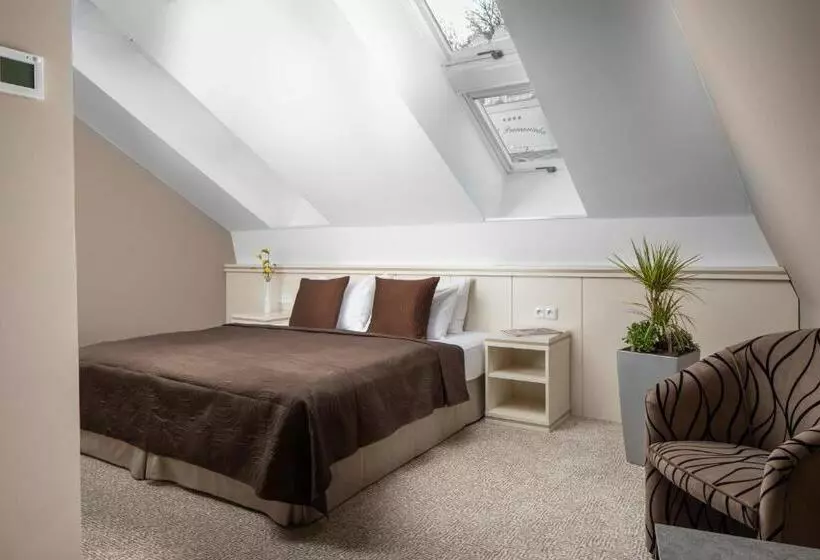 Fotos del hotel Promenáda Romantic:  18