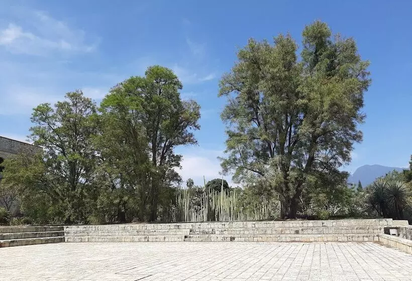 Fotos del hotel Azul De Oaxaca:  22