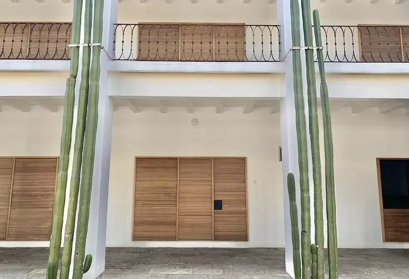 Fotos del hotel Azul De Oaxaca:  17