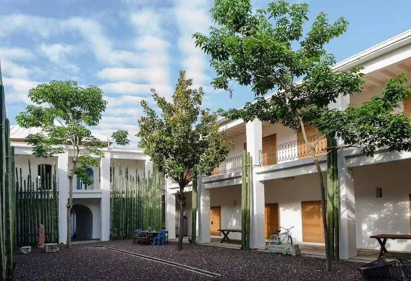 Fotos del hotel Azul De Oaxaca:  8