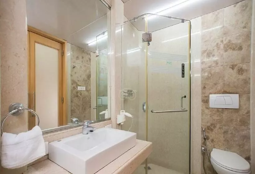 Fotos del hotel Regent Hotel Colaba:  8