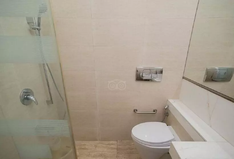 Fotos del hotel Regent Hotel Colaba:  10