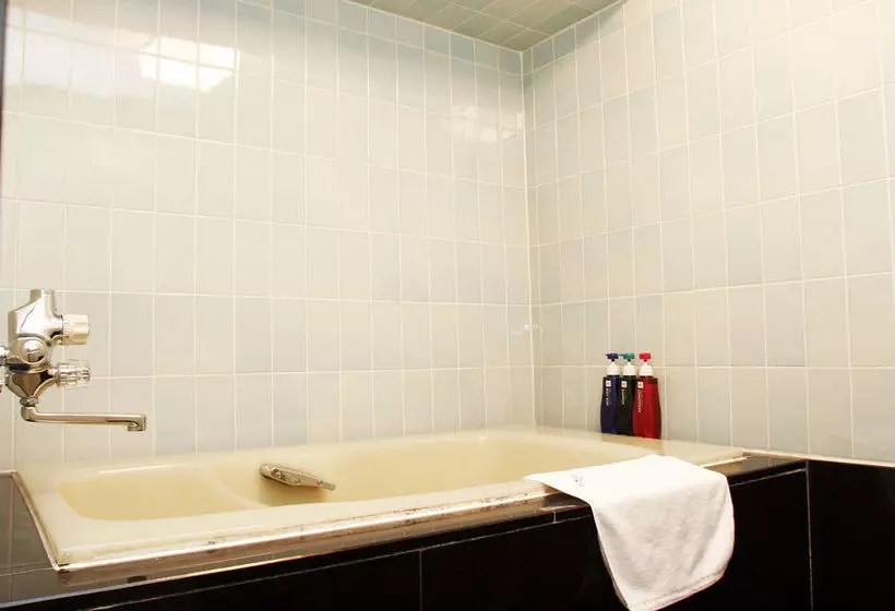 Fotos del hotel Shinsaibashi Lions Rock:  3