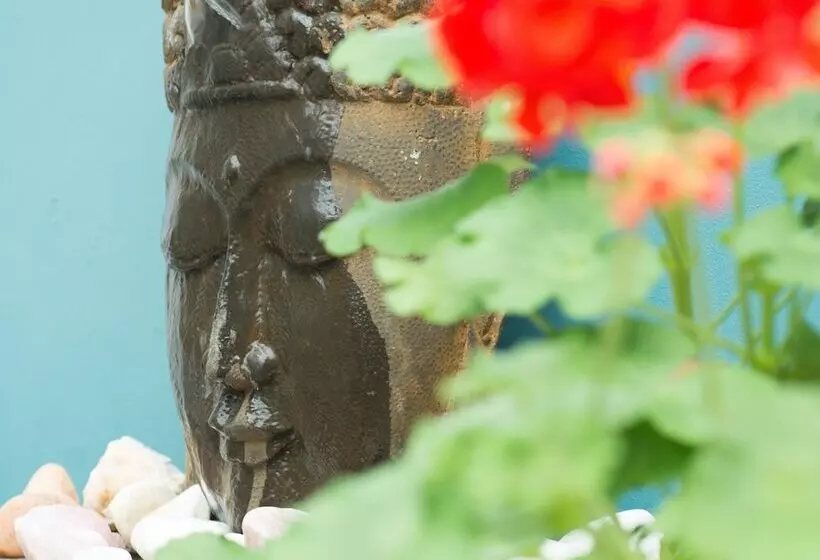 Fotos del hotel Avatara:  18