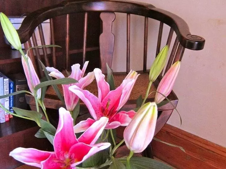 Fotos del hotel Avatara:  22