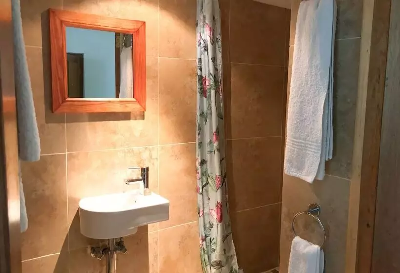 Fotos del hotel Avatara:  19