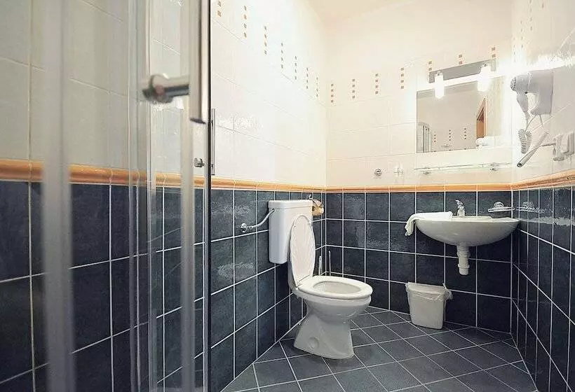 Fotos del hotel Bedriska Wellness Resort & Spa:  13