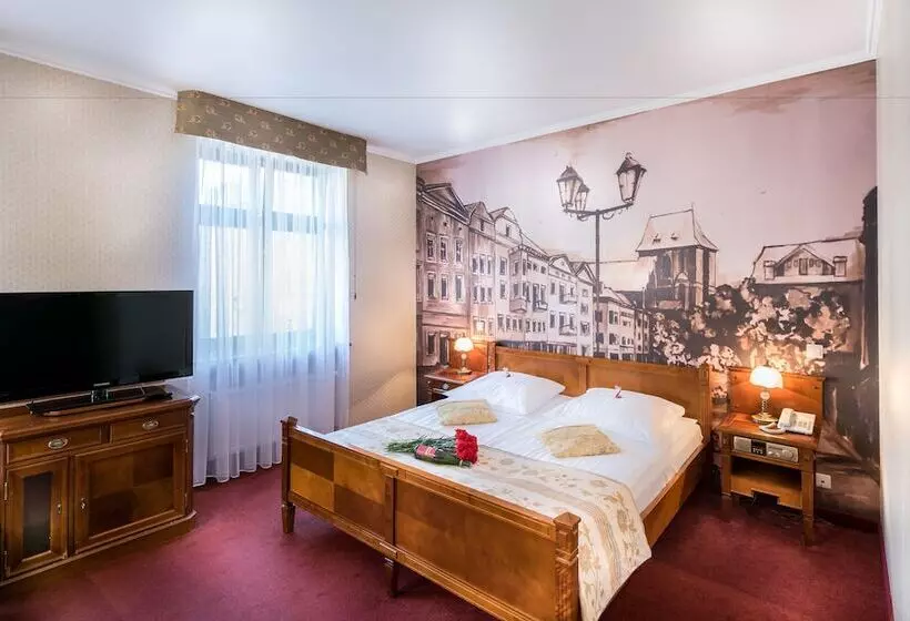 Fotos del hotel Gotyk:  18