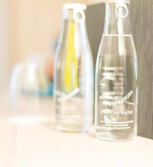 Fotos del hotel Hôtel Des Voyageurs Boutique:  14