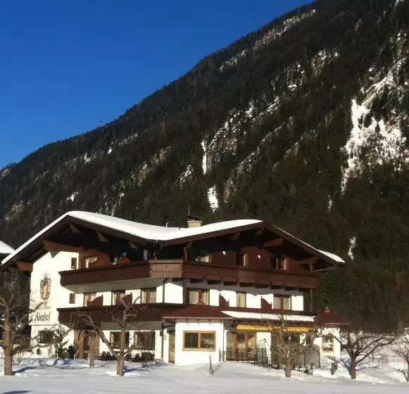 Fotos del hotel -garni Almhof:  5