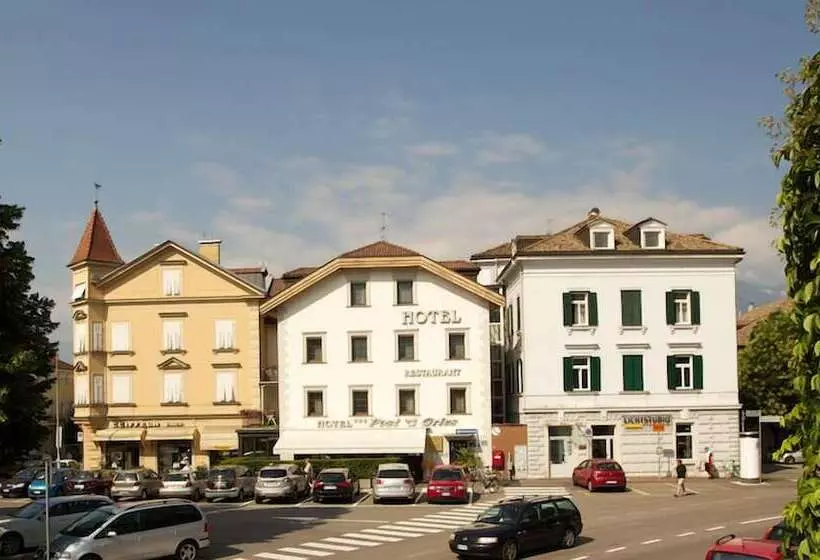 Fotos del hotel Hotel Post Gries:  5