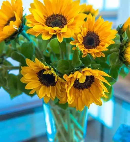 Fotos del hotel Schindlerhof:  7