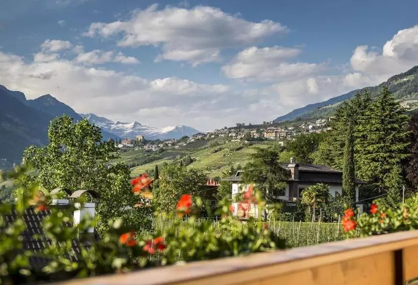 Fotos del hotel Sonnenburg:  10