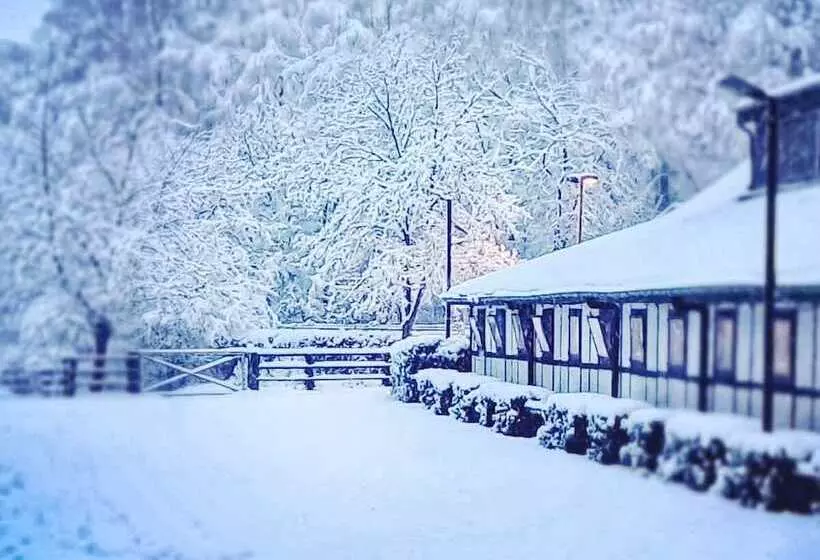 Fotos del hotel Gut Moschenhof:  16