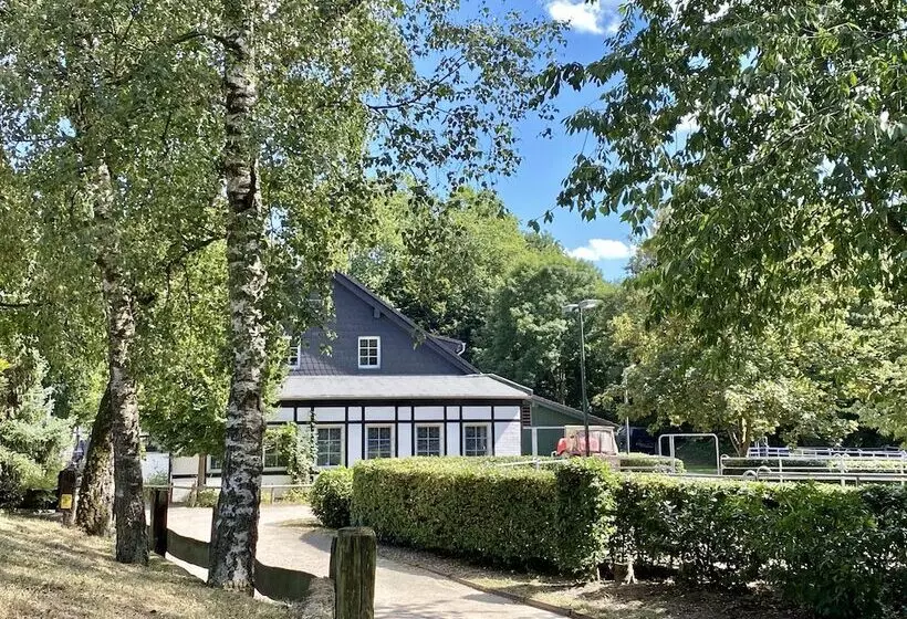 Fotos del hotel Gut Moschenhof:  21