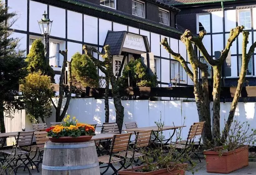 Fotos del hotel Gut Moschenhof:  9