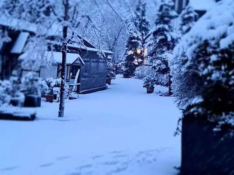 Fotos del hotel Gut Moschenhof:  20