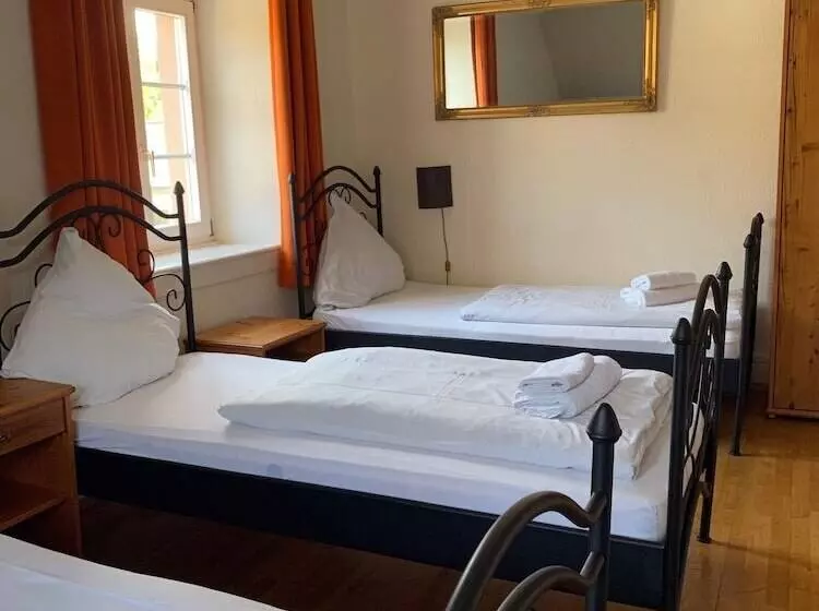 Fotos del hotel Gasthaus Schützen:  22