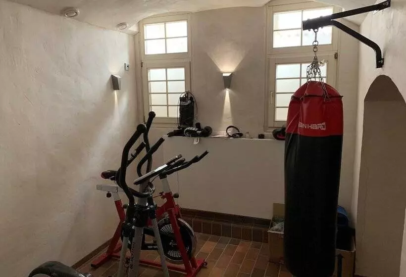 Fotos del hotel Windsor:  11