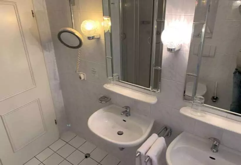 Fotos del hotel Windsor:  23