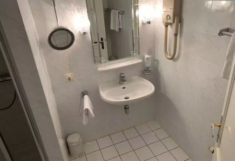 Fotos del hotel Windsor:  21