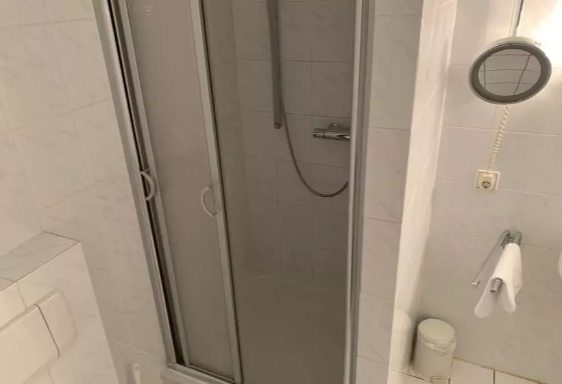 Fotos del hotel Windsor:  19