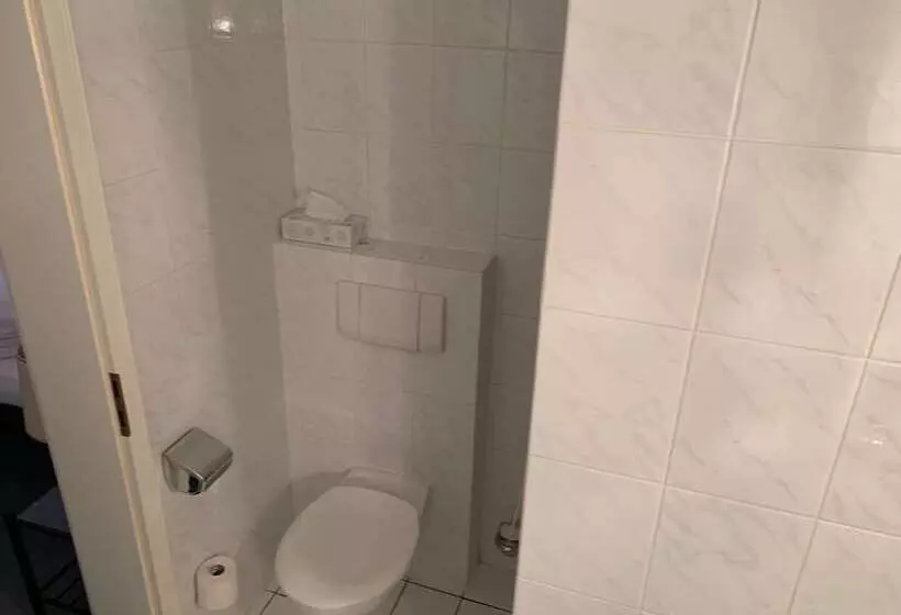 Fotos del hotel Windsor:  17