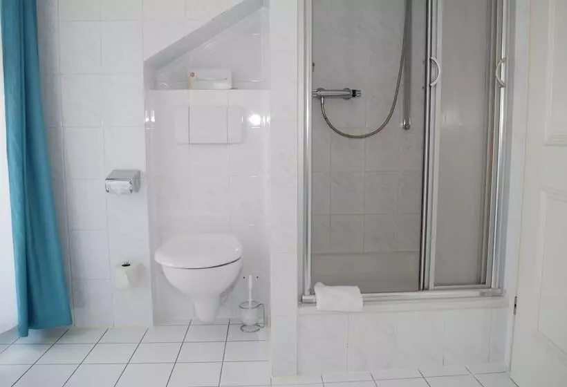 Fotos del hotel Windsor:  15