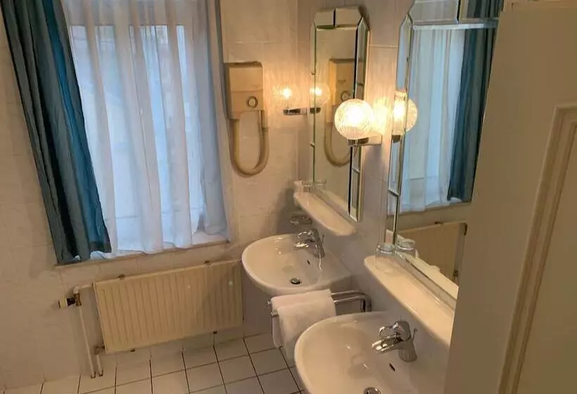 Fotos del hotel Windsor:  13