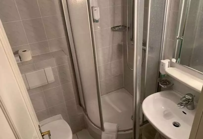 Fotos del hotel Windsor:  25