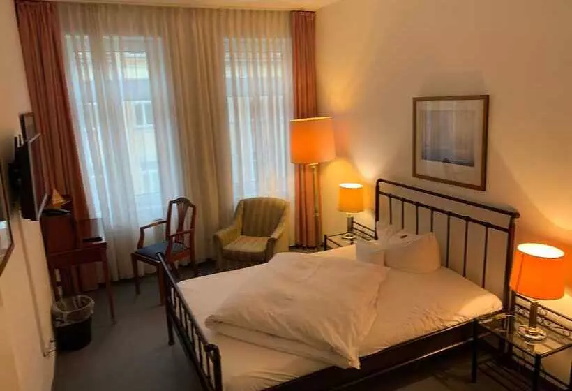 Fotos del hotel Windsor:  10